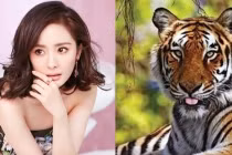 Tháng 8/2021: 3 con giáp thận trọng vận xui đeo bám, không nên làm ăn lớn