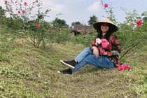 8x xứ Nghệ bỏ phố về quê trồng hoa hồng, thu nửa tỷ đồng mỗi năm