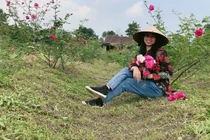 8x xứ Nghệ bỏ phố về quê trồng hoa hồng, thu nửa tỷ đồng mỗi năm