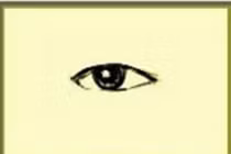 Nhìn hình dáng đôi mắt đoán ngay tính cách và công việc phù hợp