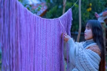 Lý Tử Thất có nguy cơ mất tất cả những gì mình đã xây nên