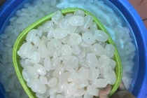 Những tác dụng không ngờ của hạt đác khiến chị em "săn lùng"