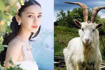 Tháng 5 Âm lịch, 3 con giáp làm gì cũng thuận lợi, tài lộc dồi dào