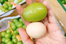 Thực hư bưởi Diễn giá 5.000 đồng/quả