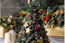 Giáng sinh 2017: Thêm lựa chọn với những mẫu cây thông tươi độc đáo
