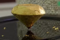 Video: Cận cảnh miếng chocolate đắt nhất hành tinh luôn có 2 người canh giữ