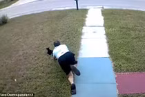 Video: Chết cười với ông chồng liên tục vồ trượt mèo của vợ