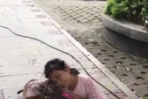 Bé gái hồn nhiên dắt hổ đi dạo gây sốc
