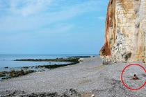 Cô gái may mắn thoát chết khi đang ngồi hóng mát trên bãi biển