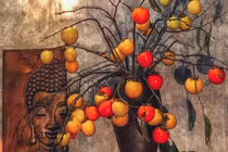 Rước cành hồng quả trên núi về nhà, ngồi chờ chín hái ăn dần