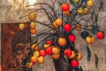 Rước cành hồng quả trên núi về nhà, ngồi chờ chín hái ăn dần