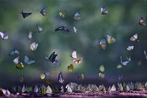 10 mẩu chuyện nhỏ ý nghĩa giúp bạn thay đổi kiếp nhân sinh