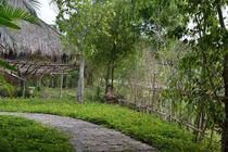 Lời thú nhận của chồng trong ngày sinh nhật khiến tôi chết điếng