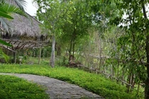 Lời thú nhận của chồng trong ngày sinh nhật khiến tôi chết điếng