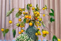 Người Hà Nội lùng mua cành hồng tươi trĩu quả về cắm chơi dịp Trung thu