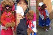 Cô chó đi bằng 2 chân gây sốt mạng xã hội