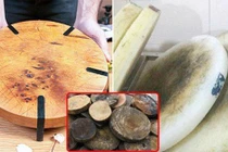 7 món đồ đại kị về phong thủy giữ lại gặp họa lúc nào không hay