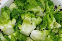 Chị em Hà thành lùng mua đặc sản mầm đá