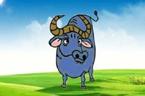 Con giáp Sửu giỏi che đậy, bên ngoài hiền lành, bên trong mưu mẹo