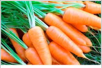 Mẹo hay giúp bảo quản rau củ quả tươi lâu trong ngày nắng nóng