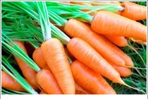 Mẹo hay giúp bảo quản rau củ quả tươi lâu trong ngày nắng nóng