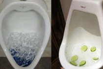 Thấy người khác đổ đá vào bồn cầu, cô gái học theo vội khi biết lý do