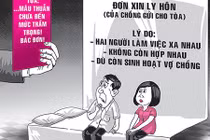 Đòi ly hôn vì vợ không chịu sinh con