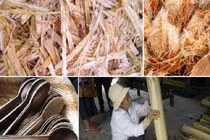 Phế thải bỏ đi ở nông thôn Việt Nam bỗng hóa mỏ vàng