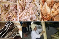 Phế thải bỏ đi ở nông thôn Việt Nam bỗng hóa mỏ vàng