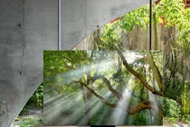 Samsung đưa TV vượt khỏi định nghĩa truyền thống