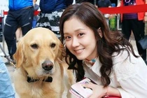 Video: Bận rộn với công việc, người Hàn Quốc cho thú cưng đi học mẫu giáo