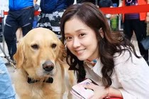 Video: Bận rộn với công việc, người Hàn Quốc cho thú cưng đi học mẫu giáo