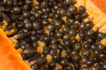 3 loại hạt trái cây chúng ta thường bỏ đi nhưng lại là "thần dược"