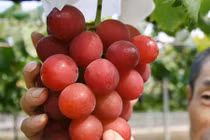 12 đặc sản đắt nhất thế giới