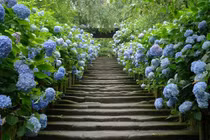 Cây trồng hàng rào tuyệt đẹp để nhà "nổi nhất xóm" 