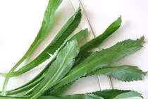 Một số bài thuốc chữa sỏi thận đơn giản nhưng cực hiệu quả