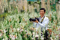 Vườn lan "khủng" sở hữu các loại lan rừng quý hiếm bậc nhất