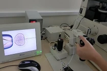 Nhiều quý cô độc thân gửi trứng chờ "đối tác"