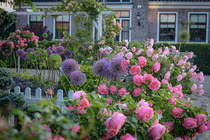 Về quê ở cữ, nàng dâu đỏ mặt thấy cảnh trong phòng ngủ của mẹ chồng