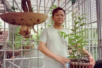 Anh nông dân nghèo bỗng chốc đổi đời nhờ loại cây này