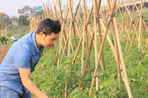 Chuyện như đùa: Cựu kỹ sư FPT chơi game ảo, thu rau thật