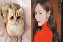 Soi tướng lông mày phụ nữ tương lai giàu có hay bần hàn