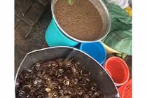 Cẩn trọng với món cua đồng xay sẵn