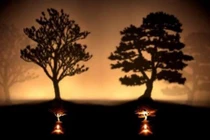 Thì ra đây là nguyên nhân thất bại của nhiều người