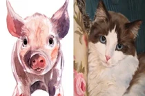 3 con giáp nữ giỏi kiếm tiền, càng về cuối năm càng phát tài