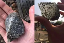 Người đàn ông cầm viên đá nhỏ về nhà, chuyên gia hết lời chúc mừng