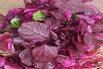 Ở nơi này rau dền ở đây được tôn vinh rau trường thọ bán đắt đỏ