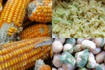 Điểm mặt 7 vật dụng nhà bếp tiềm ẩn nguy cơ ung thư đáng sợ