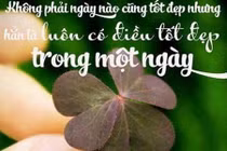 3 con giáp tiền tài như nước, đào hoa nở rộ trong tuần này