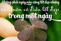 3 con giáp tiền tài như nước, đào hoa nở rộ trong tuần này